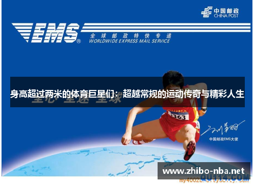 身高超过两米的体育巨星们：超越常规的运动传奇与精彩人生