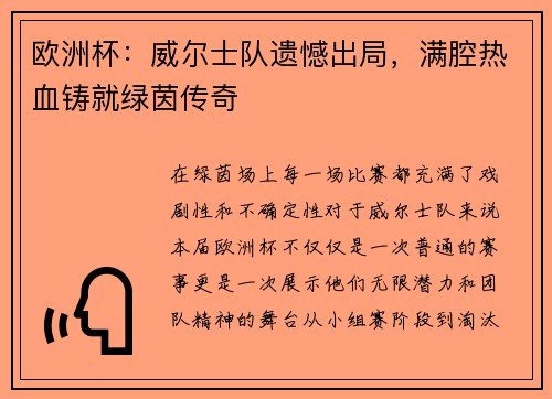 欧洲杯：威尔士队遗憾出局，满腔热血铸就绿茵传奇